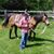 Brad Boyer's profile image
