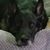 Shelly Collins Carter's profile image