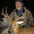 Kevin Lane's profile image