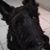 Vicki Crissman's profile image