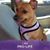 Robin Ibershoff's profile image
