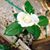 Jackie Laverdure's profile image