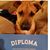 Kristine Fleck's profile image