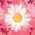 Tammy Tammy's profile image