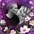 Sandra Dingle's profile image