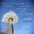 Susan L. Stephenson Rogers's profile image