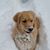 Suzanne Philippus-Palm's profile image