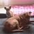 Joanne Richardson Bobbitt's profile image