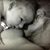 Tim Daugherty II's profile image