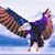 EB Bretzky's profile image