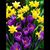 Jo Hill's profile image