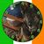 Michael Plumb's profile image