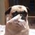 Beebe Miller's profile image