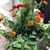 Diane M. Vondette's profile image
