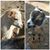 Angela Schuller's profile image