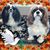 Ric B Burnam's profile image