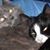 Heather Dodd's profile image