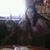 Sarah Nicole Roedel Crutchfield's profile image