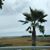 Kim Lyles Betchman's profile image