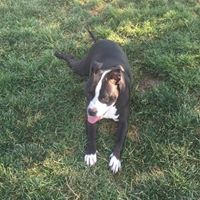 Debbie Jeffries's profile image