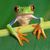 Ciccia Ciccio's profile image