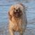 Lucy Apple's profile image