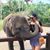 Gladys Alvarado's profile image