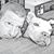 John E. Miller's profile image