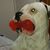 Stacy Braley's profile image