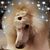 Chelsa Brandsen's profile image