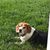 Paula Forster's profile image