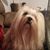 Valorie Lockburner's profile image