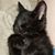 Kimberly Joy Bouch's profile image