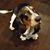 Michelle Rasmussen Craig's profile image