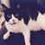 Sean Patrick's profile image