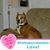 Mary Brust's profile image