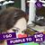 Magdalena Linden's profile image