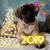 Patti Knueven Franceschina's profile image