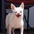 Kim Pullon's profile image