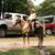 Wayne Goodman's profile image