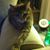 Michael Horner's profile image