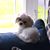 Debbie Murray Kull's profile image