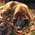 Joe Arrigo's profile image