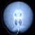 Diego Schmeler-Fleck's profile image