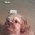 Charles Moore's profile image