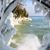 Laura Janda's profile image