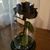 Araceli Gutierrez's profile image