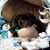Anna Streby's profile image