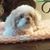 Connie Johnston Lickert's profile image