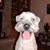 Patricia Bonarrigo's profile image